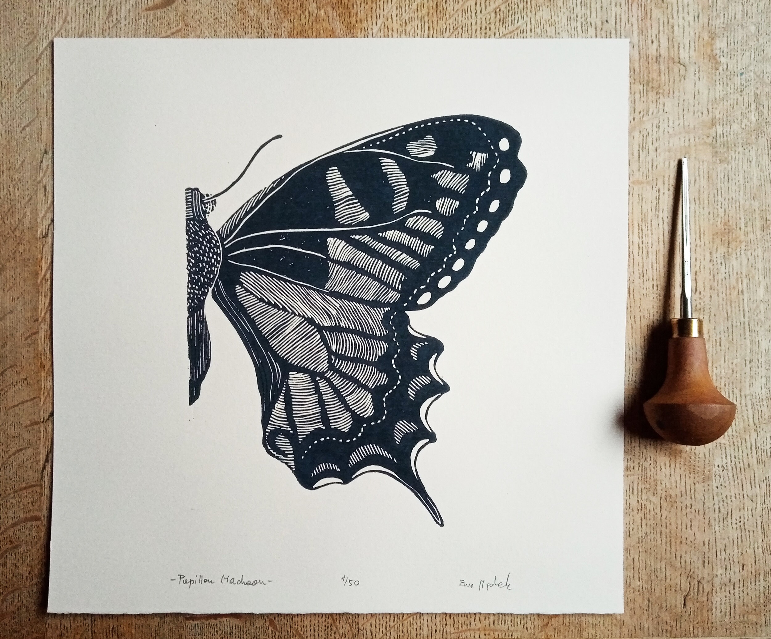 Swallowtail Butterfly Linocut, Original Art Print, Natural Swallowtail Butterfly Linocut, Original Art Print, Natural