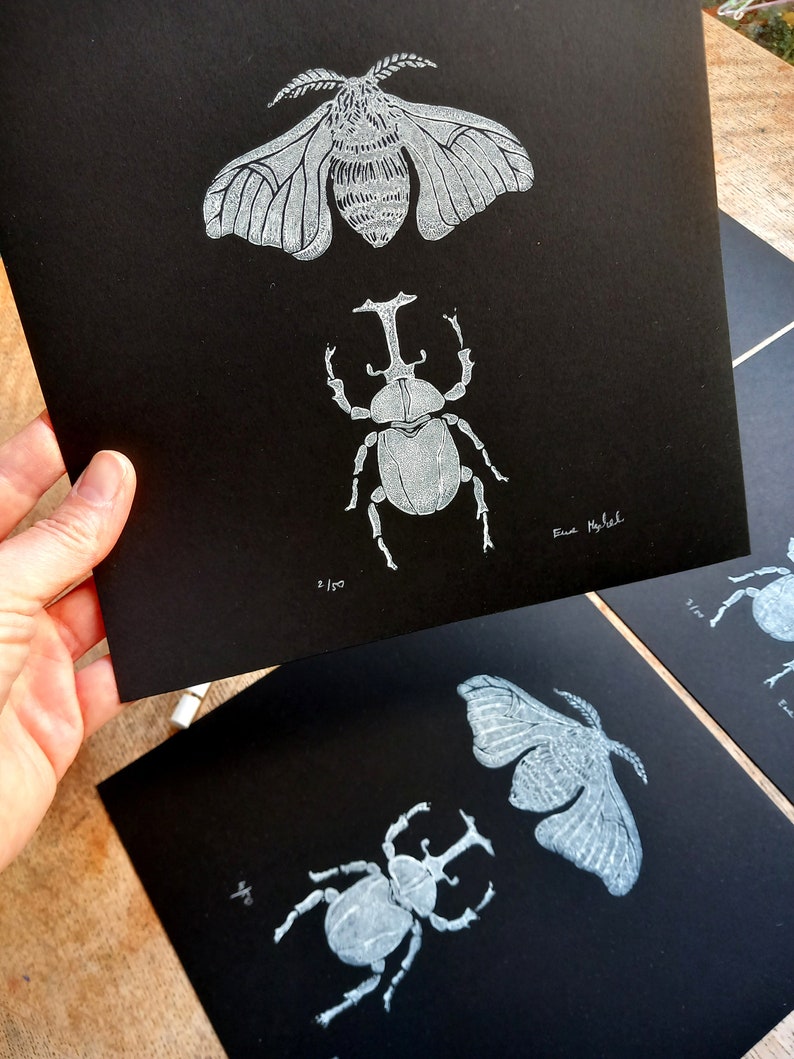 Insect Linocut Linocut Insects - Original Art Print, Cabinet of Curiosities ...