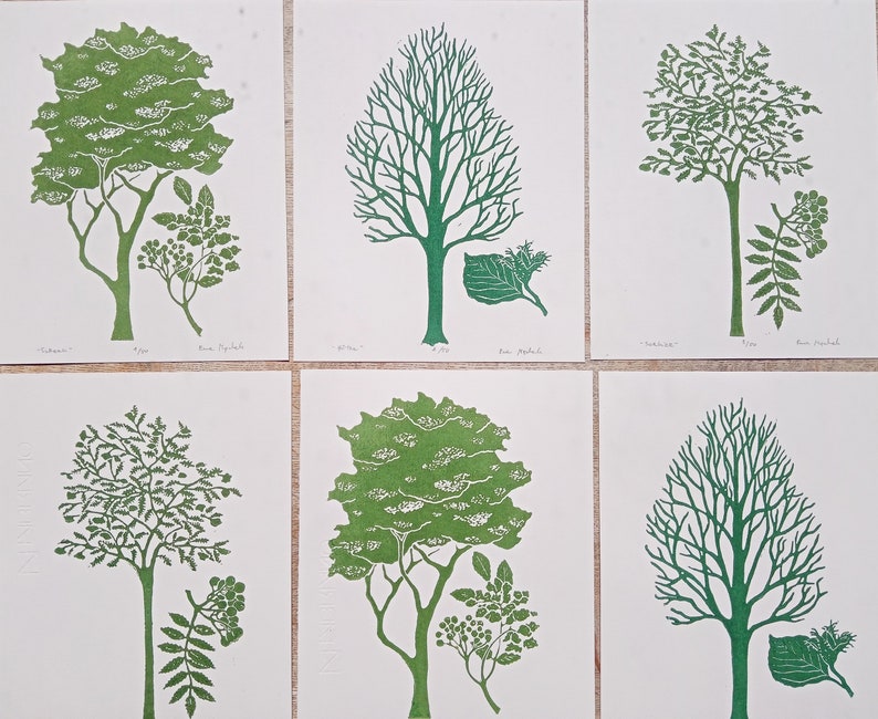 linocut Elderberry original art print, forest trees, botanical illustration,hand carved and printed, nature art, limited edition artwork image 8