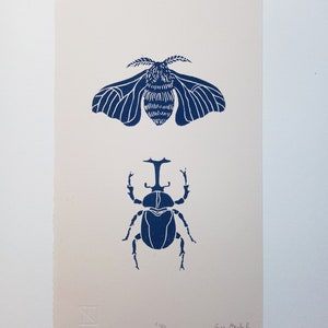 Linocut Insects - original art print, cabinet of curiosities, entomology illustration, limited edition artwork, minimalist decor, nature art