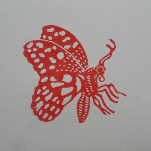 linocut Butterflies, original art print, engraved and hand printed, Insect illustration, nature art, garden artwork image 6