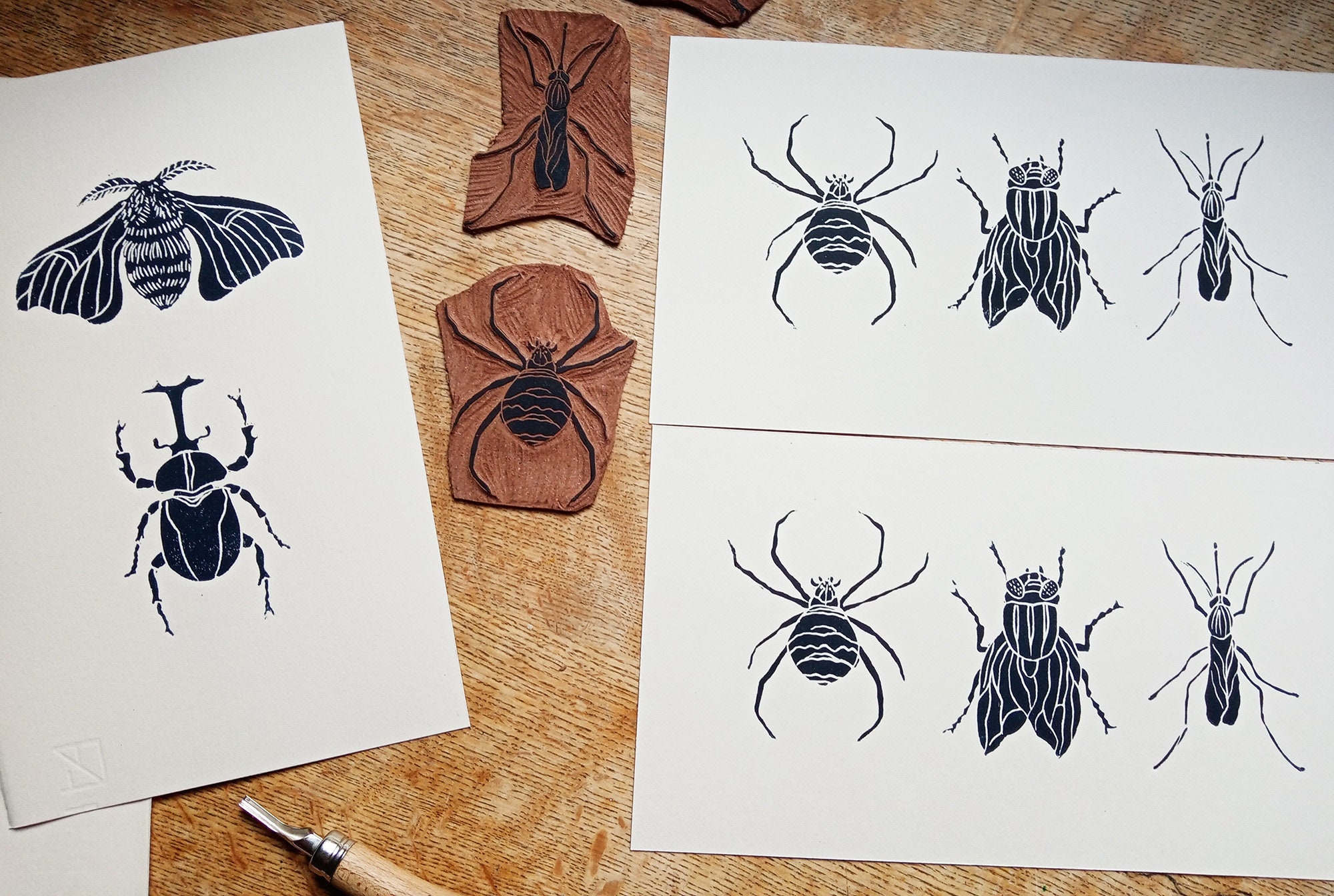 Insect Linocut Linocut Insects - Original Art Print, Cabinet of Curiosities ...