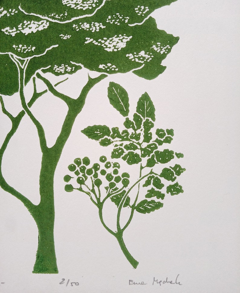 linocut Elderberry original art print, forest trees, botanical illustration,hand carved and printed, nature art, limited edition artwork image 4