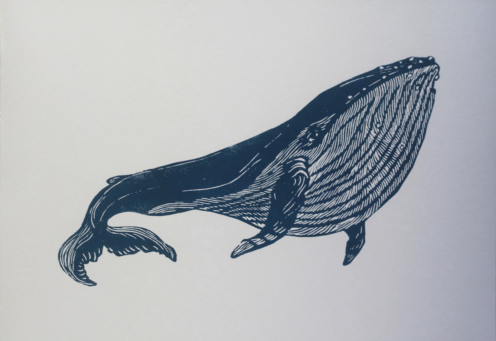 Whale linocut original art print | Etsy