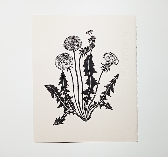 Linocut Dardelions Flower, Original Art Print, Plant Art, Black and White  Print, Botanical Illustration, Medicinal Herbs, Floral Art, Garden - Etsy  Canada