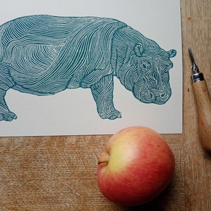 linocut HIPPOPOTAMUS original art print, savannah animals, nature artwork, limited edition, zoological illustration, hand carved and printed image 5