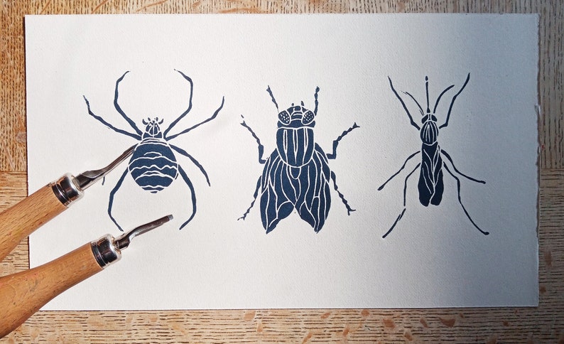 Insect Linocut Linocut Insects - Original Art Print, Cabinet of Curiosities, Hand ...
