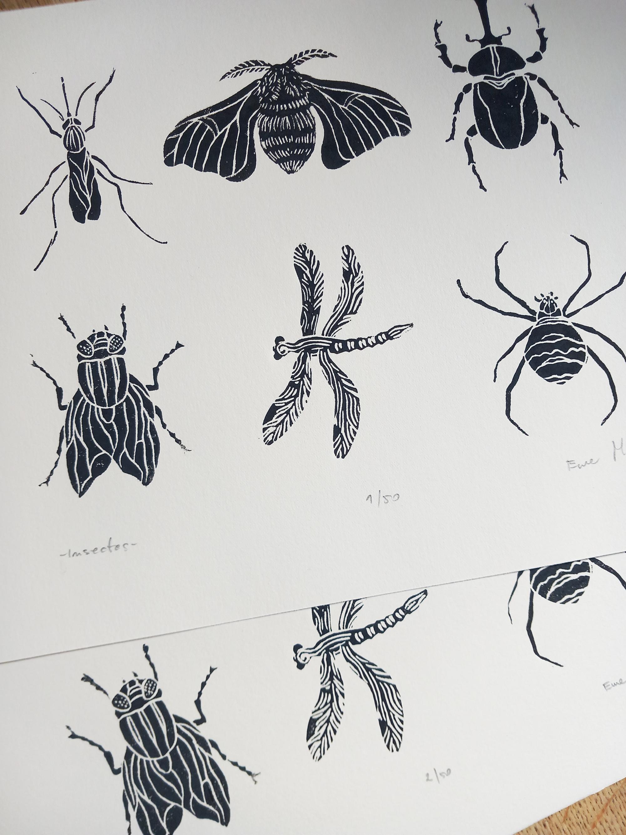 Insect Linocut Linocut Insects, Original Art Print, Natural Home Decor, Nature Art ...