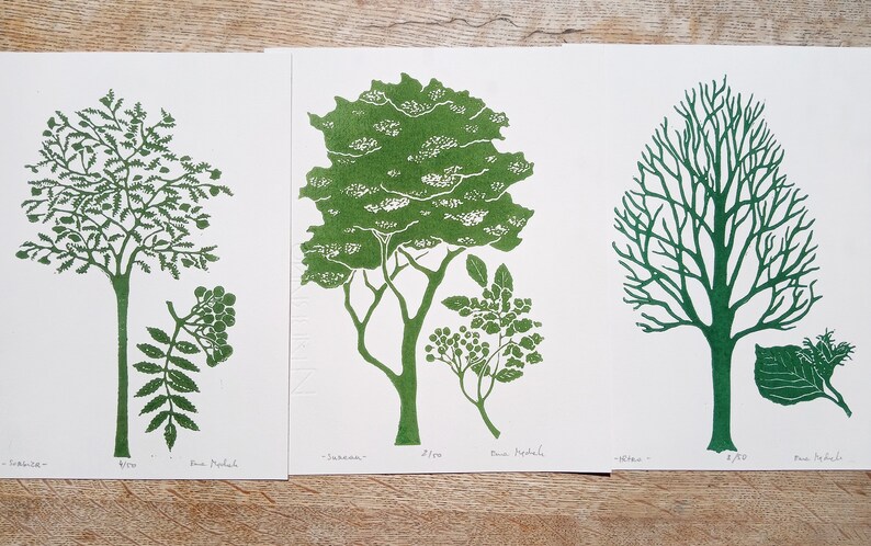 linocut Elderberry original art print, forest trees, botanical illustration,hand carved and printed, nature art, limited edition artwork image 7