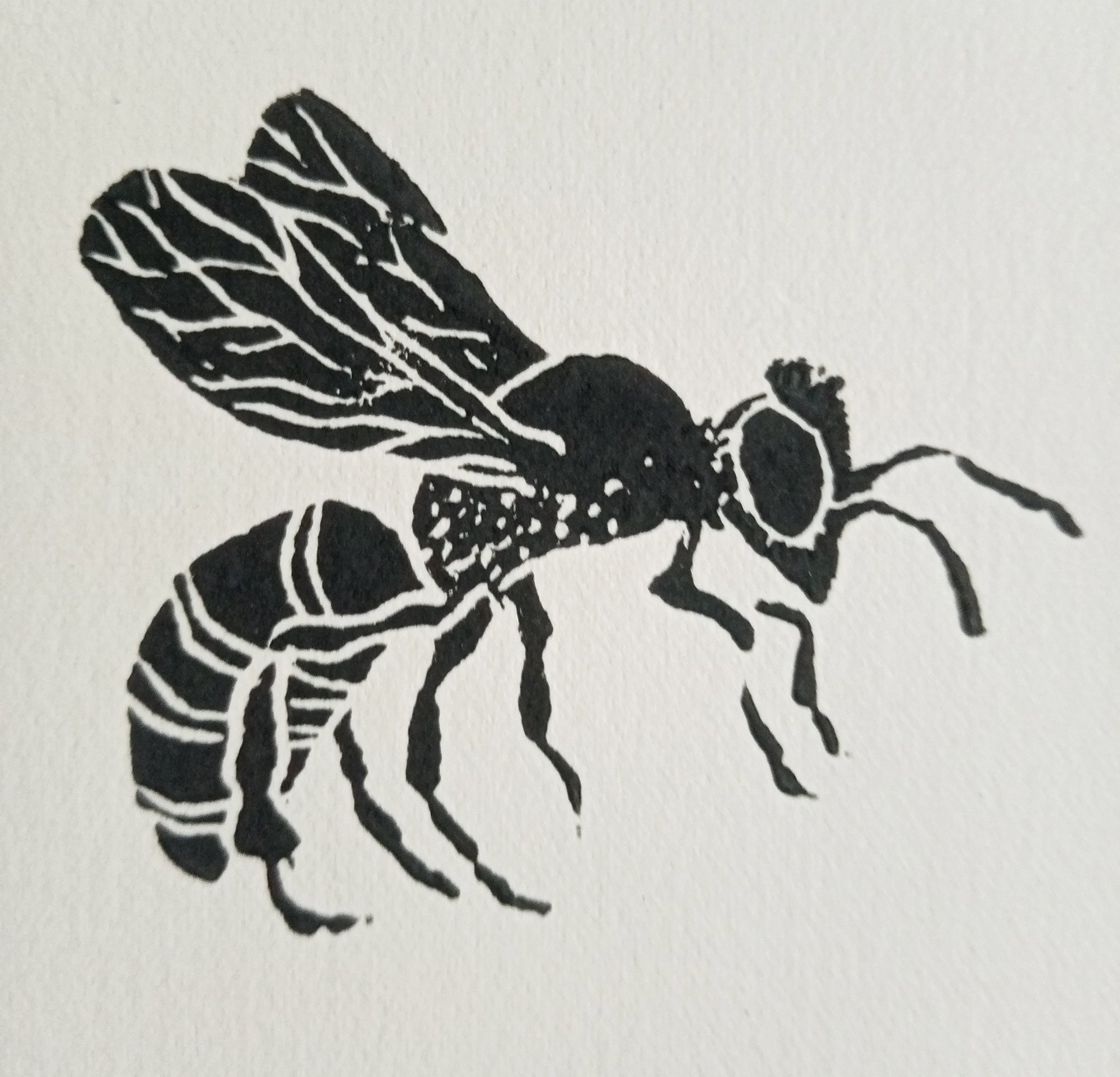 Insect Linocut Linocut Insects of the Fields, Original Art Print, Natural Home Decor ...
