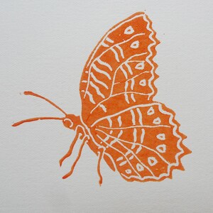 linocut Butterflies, original art print, engraved and hand printed, Insect illustration, nature art, garden artwork image 5