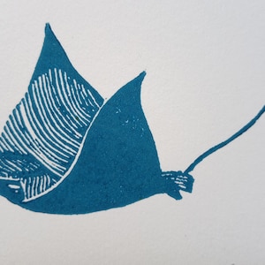 RAIES - lot, linogravure, impression d'art originale, art marin, édition limitée, illustration zoologique