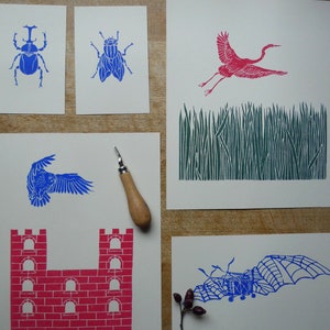 May include: Five different linocut prints on white card stock. The prints are of a beetle, a fly, a crane, a castle, and a bat. The prints are all in blue and red ink.