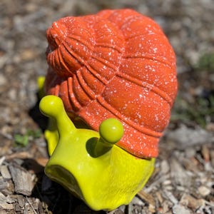 Garden Snail