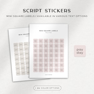 Puede incluir: Pegatinas de guión con mini etiquetas cuadradas en varias opciones de texto. La imagen muestra dos hojas de pegatinas, una con etiquetas "plan" y otra con etiquetas "pay day". También se muestra una sola pegatina "pay day". Las pegatinas son de color rosa pálido.