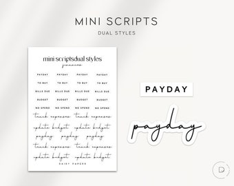 FINANCES - Dual Styles Mini Scripts | Transparent Mini Script Stickers | Minimal & Functional Planner Stickers for Everyday Planning