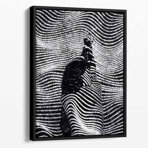 May include: Black and white abstract art print featuring a silhouette of a person's body with wavy lines.