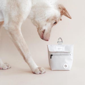 Puede incluir: Una bolsa gris claro para excrementos de perro con cremallera negra y mosquetón plateado. La bolsa tiene una pequeña abertura para bolsas de basura y la palabra "Lindera" está impresa en la parte delantera. Un perro de color claro mira la bolsa.