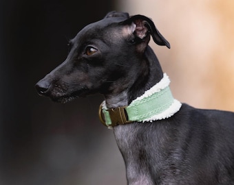 AMÕR + ANTIK || fluffy hound collar (antique brass)