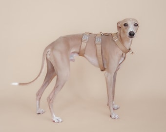 Harness XII || plain