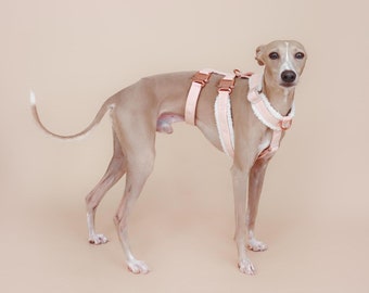 Harness XII || fluffy