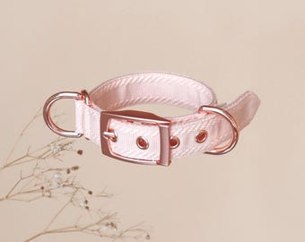 c o l l a r s // plain