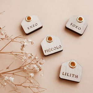 EMA || wooden hut / pet ID tag