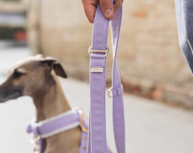 Featured listing image: YKSI || all-in-one / convertible leash
