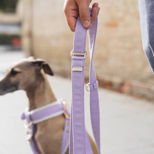 May include: A lavender dog lead with a gold metal clasp and a small label that says "Linden".