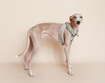 Orla kiely dog collar 2025