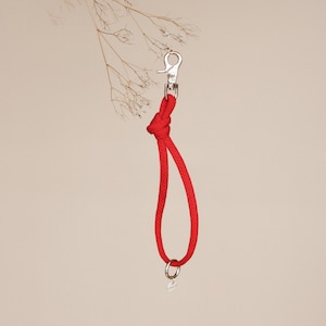 Puede incluir: Correa de perro de cuerda roja con un clip plateado y un anillo plateado en el extremo.