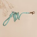 FIÏN || fine leash product logo