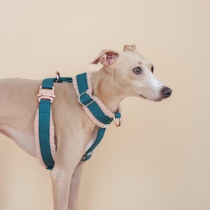 Harness Ÿ || fluffy