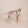 Harness XII || fluffy product logo