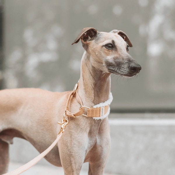 FLUF || martingale collar