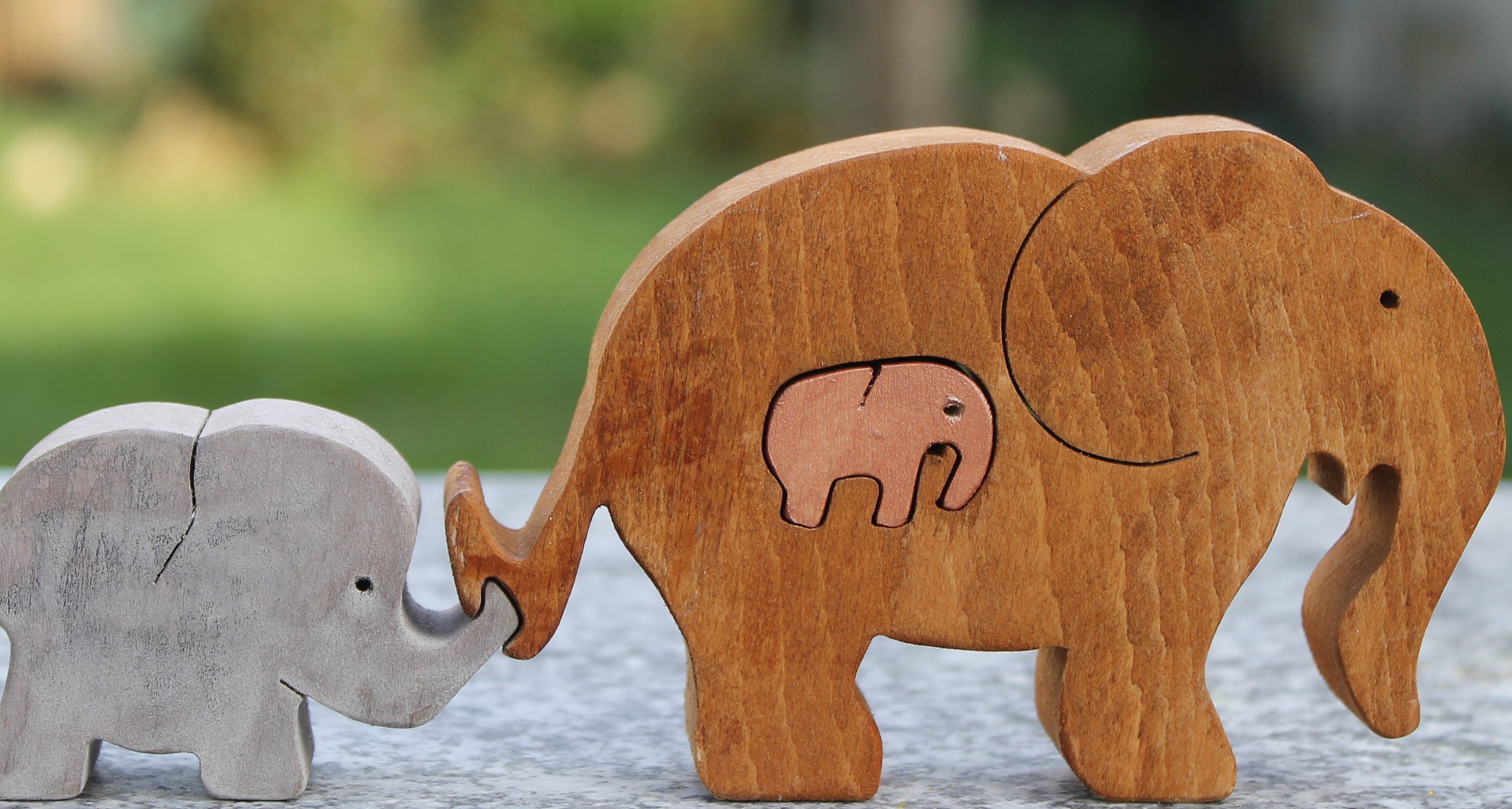 Maman Éléphant, L'ainé et Le Futur