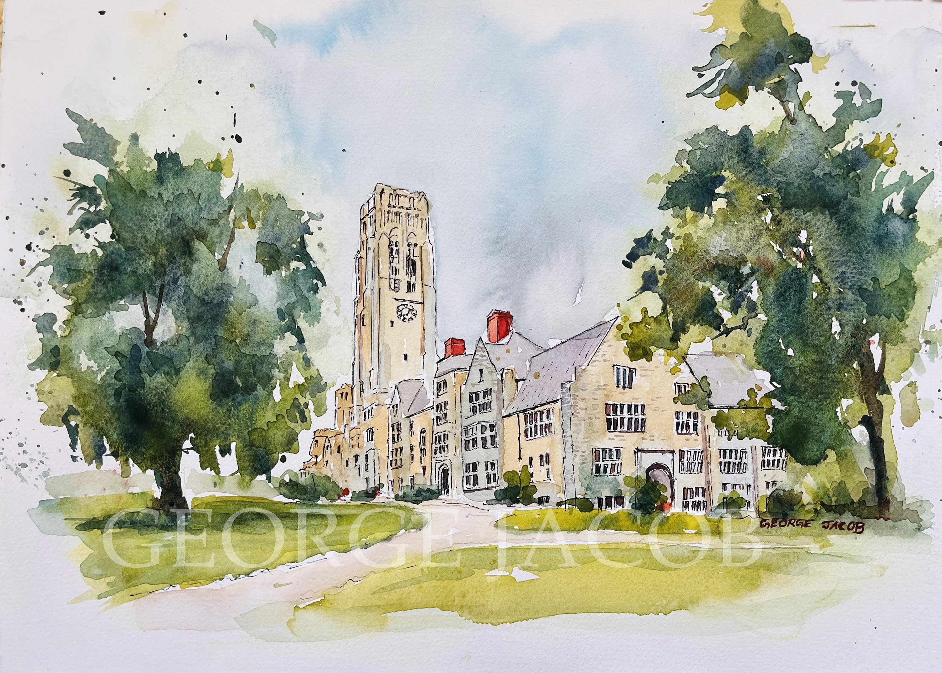 University Of Toledo Gartenflagge – Doppelseitig, 100% Polyester, Offiziell Lizenziert