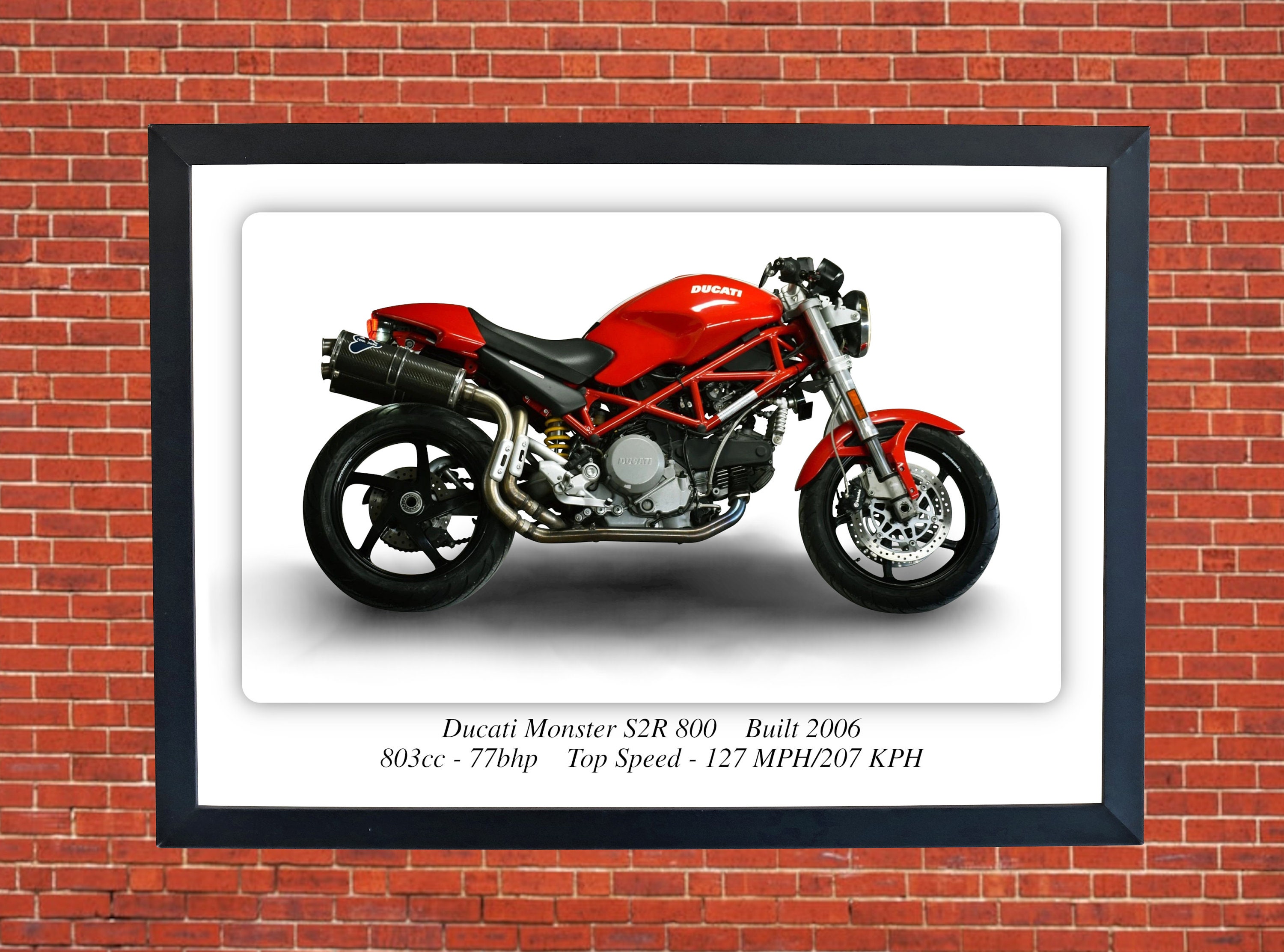 Ducati Monster S2R 800 Motorcycle 