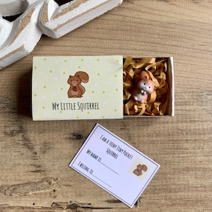 My Little Squirrel | Squirrel in a Matchbox | Cute Squirrel Figurine | Pet Squirrel | Fairy Garden Figurine | Nuts about you