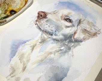 Custom Hand Painted Watercolor Pet Portrait