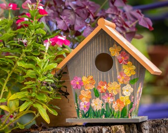 Hand Painted Decorative Bluebird Birdhouse