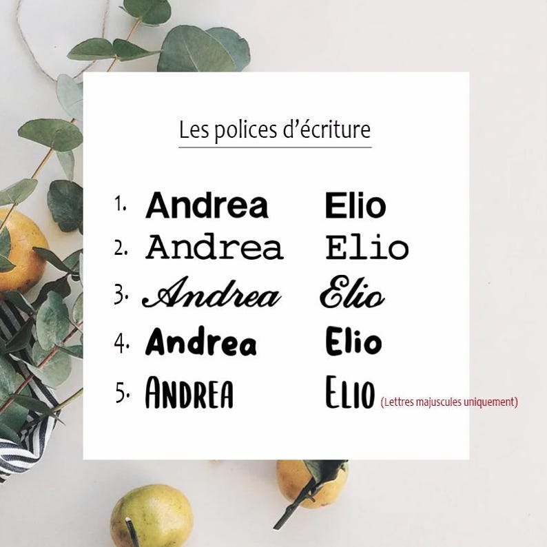 May include: A white sheet of paper with the text "Les polices d'&eacute;criture" at the top. Five different font styles are shown for the names "Andrea" and "Elio". The last font style is all uppercase.