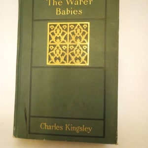 The Water Babies a Fairy Tale Book Charles Kingsley, Published 1900 by Rand McNally, Ornate Binding Early U.S. Edition, Vintage Book