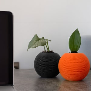 3D Printed HomePot Mini Vase - Apple-Inspired Speaker Design, Decorative Floral Holder, Unique Home Decor, Compact Plant Pot