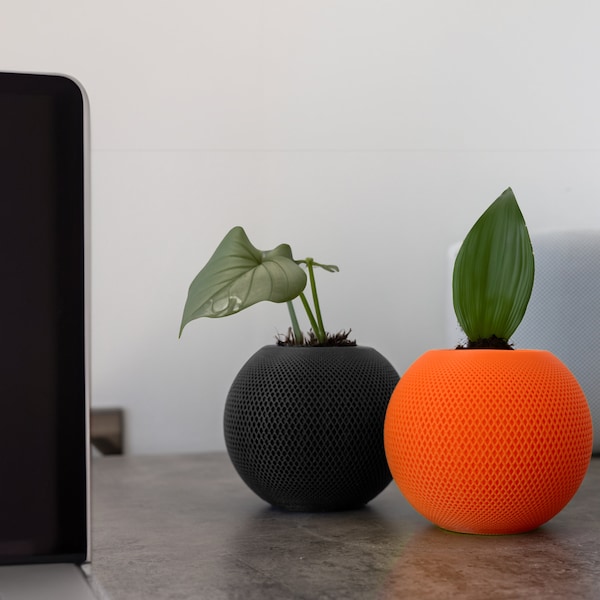 3D Printed HomePot Mini Vase - Apple-Inspired Speaker Design, Decorative Floral Holder, Unique Home Decor, Compact Plant Pot