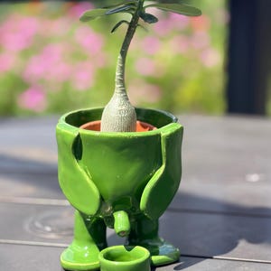May include: A glossy green ceramic planter shaped like a stylized elephant with large ears and feet, containing a small plant with a bulbous base and green leaves. A matching small green ceramic cup sits in front of the elephant-shaped planter.
