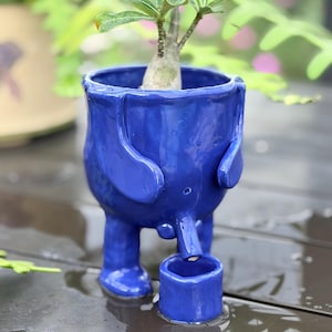 May include: A glossy cobalt blue ceramic planter shaped like an elephant with two legs and a trunk that extends downward toward a small, separate cylindrical cup. A small green plant with thin stems and leaves is potted inside the elephant body.