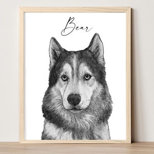 Custom dog drawing Digital hand drawn custom pet portrait Drawing from photo Custom pet sketch Dog portrait custom Pet lover gift