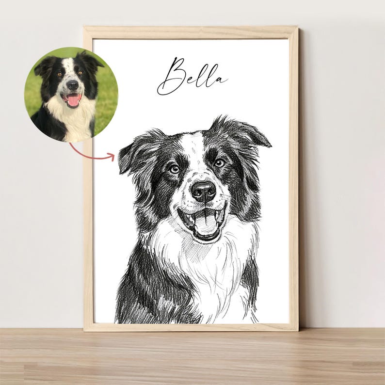 Schizzo di cane personalizzato da foto Ritratto di animale domestico digitale disegnato a mano Ritratto di cane personalizzato DOWNLOAD DIGITALE Regalo commemorativo per animali domestici immagine 6