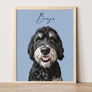 May include: A digital illustration of a black and white dog with the name "Banjo" written above it. The dog is looking directly at the viewer with a happy expression.